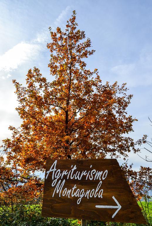 Agriturismo Montagnola Abruzzo Villa Casalanguida Ngoại thất bức ảnh