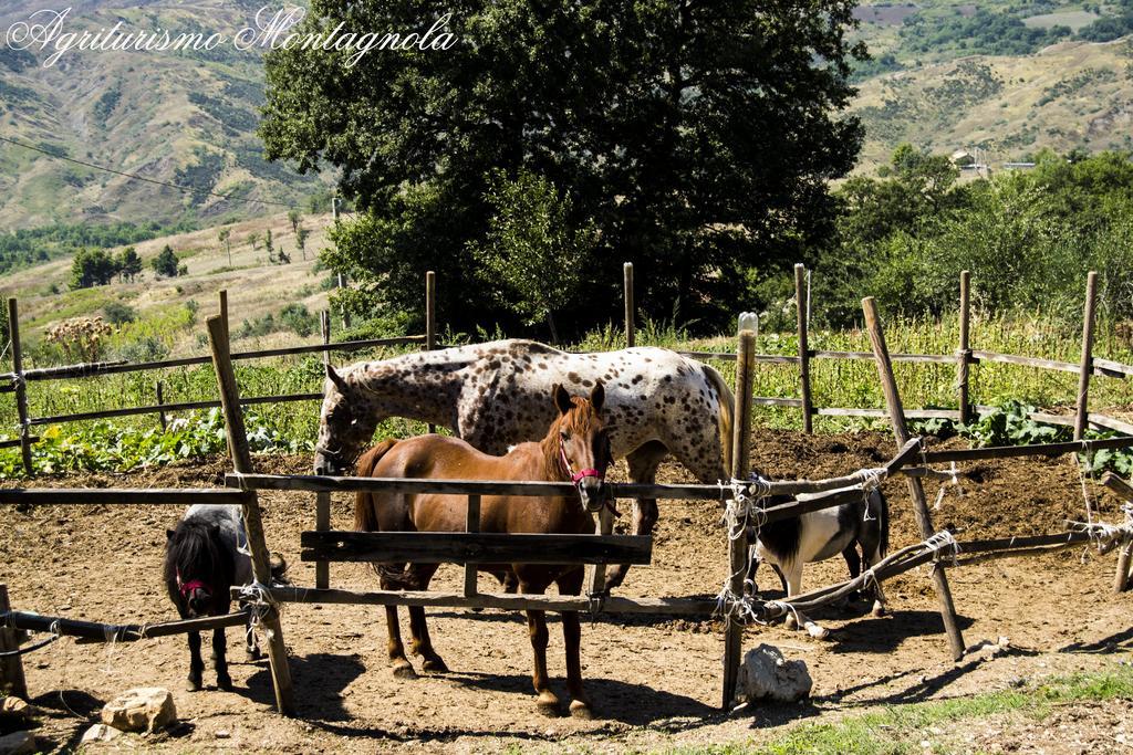 Agriturismo Montagnola Abruzzo Villa Casalanguida Ngoại thất bức ảnh