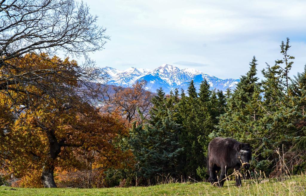 Agriturismo Montagnola Abruzzo Villa Casalanguida Ngoại thất bức ảnh